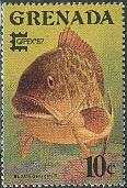 Colnect-2267-787-Black-Grouper-Epinephelus-nigritus-.jpg