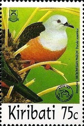 Colnect-2556-681-Micronesian-Imperial-pigeon-Ducula-oceanica.jpg