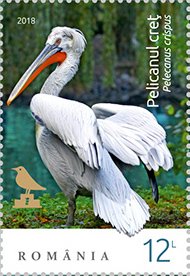 Colnect-5250-358-Dalmatian-Pelican-Pelecanus-crispus.jpg