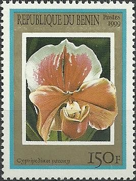 Colnect-1802-691-Paphiopedilum-Paeony.jpg