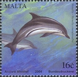 Colnect-657-553-Striped-Dolphin-Stenella-coeruleoalba.jpg