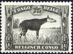 Colnect-1078-031-Okapi-Okapia-johnstoni.jpg