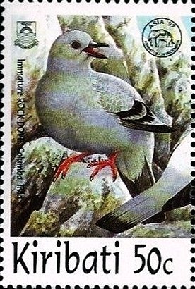 Colnect-2556-678-Rock-Pigeon-Columba-livia.jpg