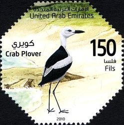 Colnect-1381-526-Crab-plover-Dromas-ardeola.jpg