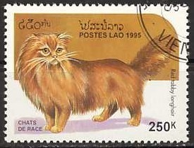 Colnect-1247-688-Red-Tabby-Point-Colorpoint-Longhair-Felis-silvestris-catus.jpg