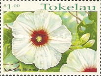 Colnect-1743-027-Ipomoea-littoralis.jpg