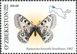 Colnect-831-854-Honrath-s-Apollo-Parnassius-honrathi.jpg