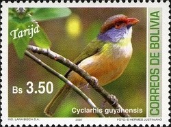 Colnect-1411-786-Rufous-browed-Peppershrike-Cyclarhis-guyanensis.jpg