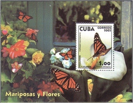 Colnect-1458-892-Monarch-Danaus-plexippus-Calla-Lily-Zantedeschia-aethiop.jpg