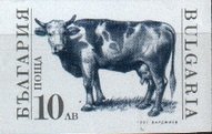 Colnect-4934-870-Domestic-Cow-Bos-primigenius-taurus---Imperforated.jpg