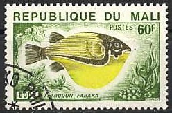 Colnect-1085-508-Fahaka-Puffer-Tetrodon-fahaka.jpg