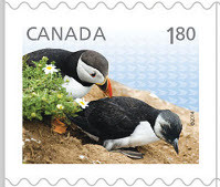 Colnect-2291-764-Atlantic-Puffin-Fratercula-arctica.jpg