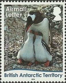 Colnect-3716-123-Gentoo-Penguin-Pygoscelis-papua-Mum-and-Chicks.jpg