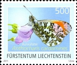 Colnect-1185-064-Orange-Tip-Anthocharis-cardamines.jpg