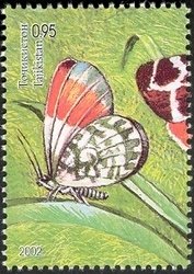 Colnect-1735-181-Orange-Tip-Anthocharis-cardamines.jpg