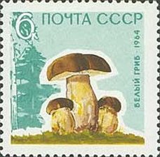 Colnect-873-603-Cep-Boletus-edulis.jpg