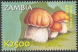 Colnect-934-606-Cep-Boletus-edulis.jpg