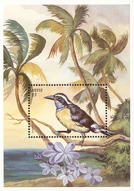 Colnect-1646-491-Bananaquit-in-coastal-scene.jpg