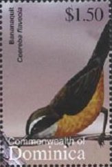 Colnect-3262-619-Bananaquit-Coereba-flaveola.jpg