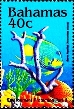 Colnect-4131-909-Queen-angelfish.jpg