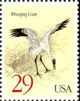 Colnect-200-283-Whooping-Crane-nbsp-Grus-americana.jpg