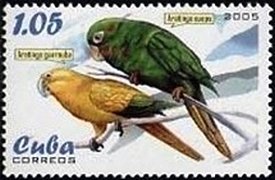 Colnect-2523-620-Golden-Parakeet-Aratinga-guarouba.jpg