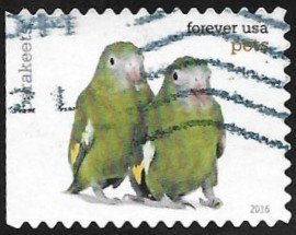 Colnect-3483-609-White-winged-Parakeet-Brotogeris-versicolurus.jpg