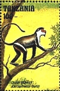 Colnect-6297-552-Cercopithecus-diana.jpg