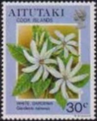 Colnect-3478-667-Tahiti-Gardenia-Gardenia-taitensis.jpg