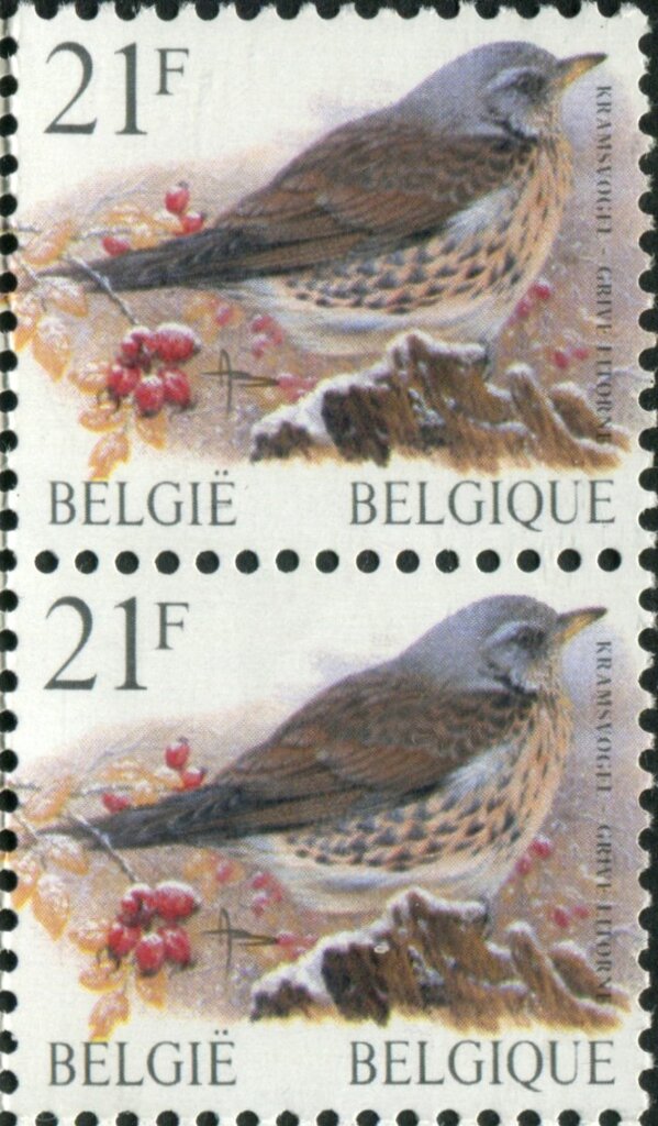 Colnect-5786-290-Fieldfare-Turdus-pilaris-paire-verticale.jpg