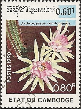 Colnect-1126-705-Arthrocereus-Rondoni-aacute-nus.jpg