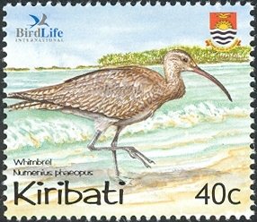 Colnect-1754-077-Whimbrel-Numenius-phaeopus.jpg