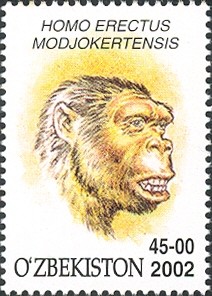 Colnect-2427-367-Homo-erectus-modjokertensis.jpg