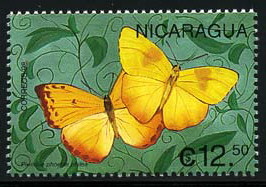 Colnect-2480-922-Orange-barred-Sulphur-Phoebis-philea.jpg