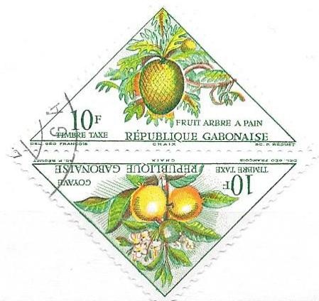 Colnect-2571-970-Breadfruit-guavas.jpg