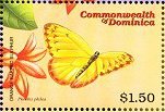 Colnect-3238-428-Orange-barred-Sulphur-Phoebis-philea.jpg