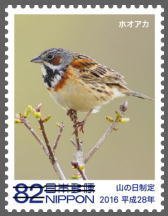 Colnect-3536-230-Chestnut-eared-Bunting-Emberiza-fucata.jpg