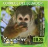 Colnect-3553-380-Common-Squirrel-Monkey-Saimiri-sciureus.jpg