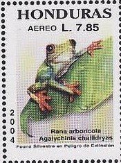 Colnect-3558-920-Tawny-Treefrog-Rana-arboricola.jpg