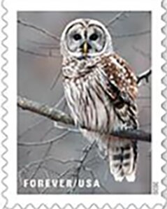 Colnect-7323-386-Barred-Owl-Strix-varia.jpg