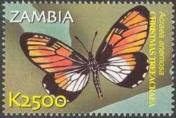 Colnect-934-601-Broad-Bordered-Acraea-Acraea-anemosa.jpg