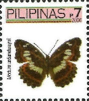 Colnect-2882-253-Commander-Butterfly-Moduza-nbsp-urdaneta-aynii.jpg