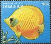 Colnect-3206-726-Bluecheek-Butterflyfish-Chaetodon-semilarvatus.jpg