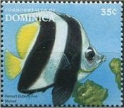 Colnect-3206-734-Pennant-Butterflyfish-Heniochus-diphreutes.jpg