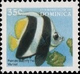 Colnect-3215-534-Pennant-Butterflyfish-Heniochus-diphreutes.jpg