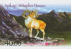 Colnect-1753-590-Argali-Ovis-ammon.jpg