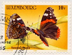 Skap-luxembourg_04_bfly_u.jpg