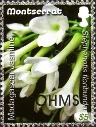 Colnect-1523-979-OHMS-overprint---Madagascar-Jasmine.jpg