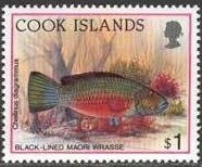 Colnect-1920-373-Cheek-lined-Maori-Wrasse-Cheilinus-diagrammus-.jpg