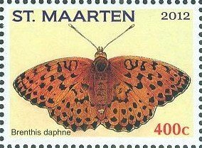 Colnect-2624-594-Marbled-Fritillary-Brenthis-daphne.jpg